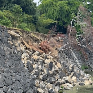 熊本現地訪問の様子